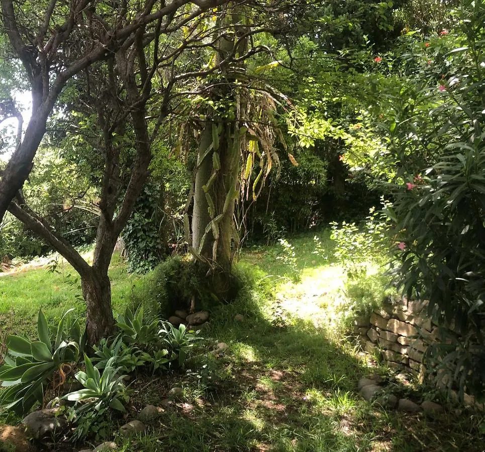 Casa Simba B&B (Adults Only) Estepona
