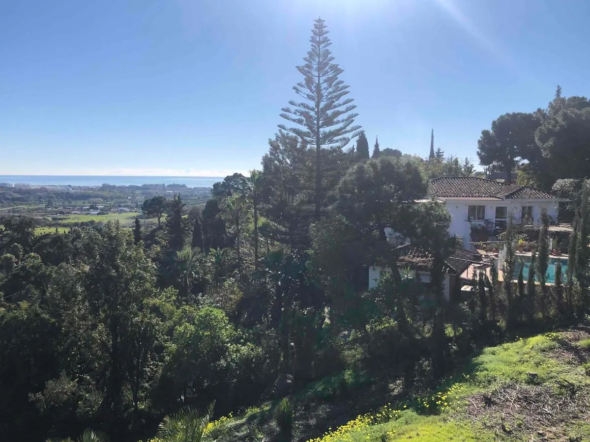 Casa Simba B&B (Adults Only) Estepona Spain