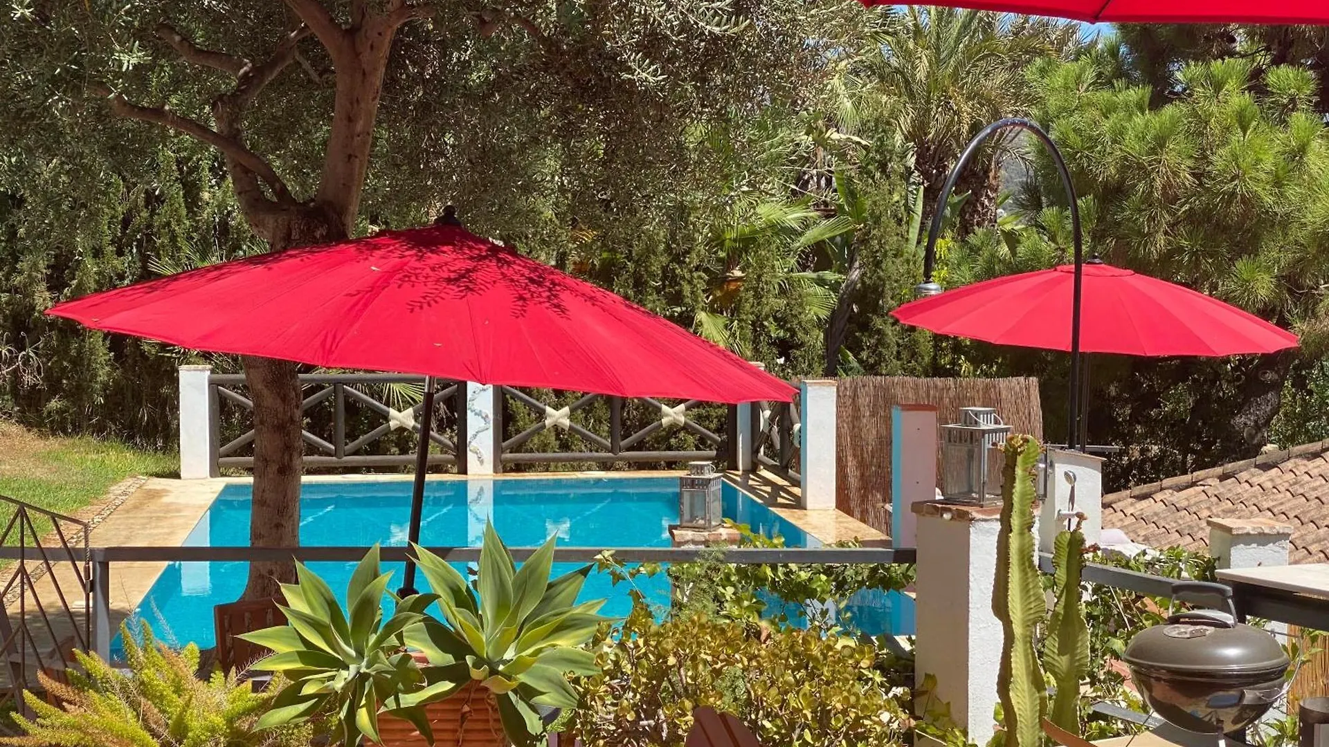 Casa Simba B&B (Adults Only) contacts